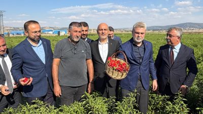 Hasat programında açıklamalarda bulunan Başkan Fırat Görgel, Maraş biberinin hem