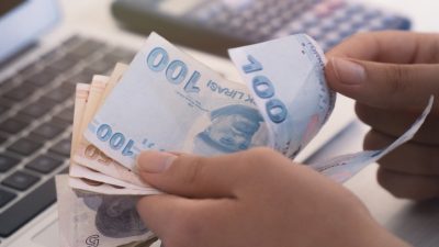 Kamuoyunda “vatandaşlık maaşı” olarak bilinen Gelir Tamamlayıcı Aile Destek Sistemi